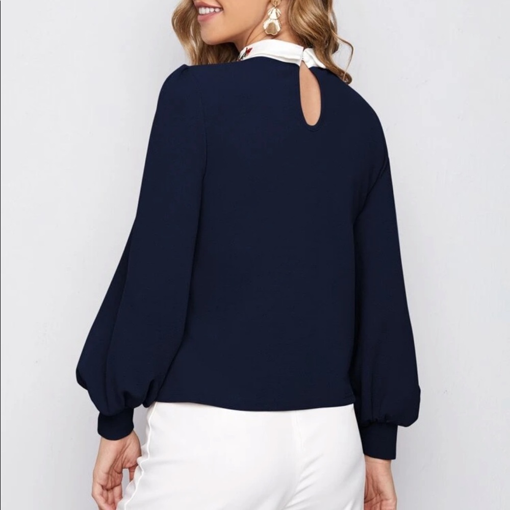Embroidered collar lantern sleeve blouse - Picture 4 of 15